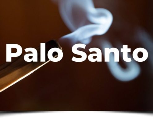 Palo Santo