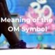 Meaning of the OM Symbol