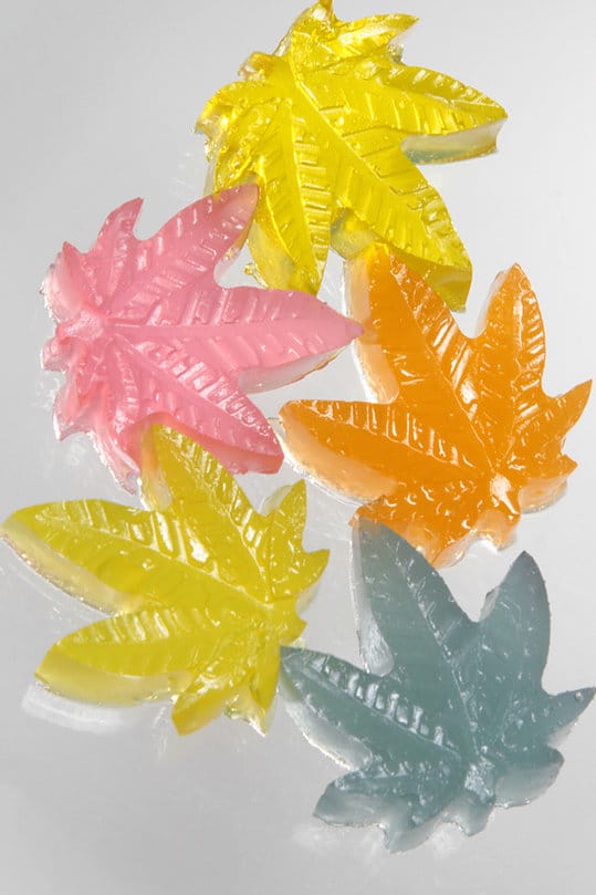 pinapple-4.jpg