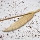 Incense Holder